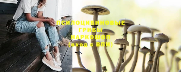 мяу мяу мука Бугульма