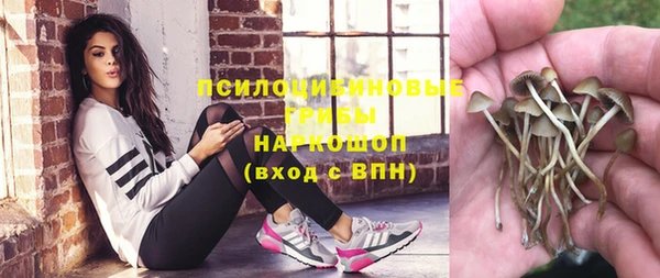 спиды Бронницы