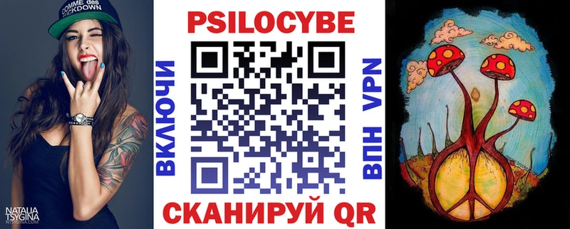 где найти   Братск  Псилоцибиновые грибы Psilocybe 